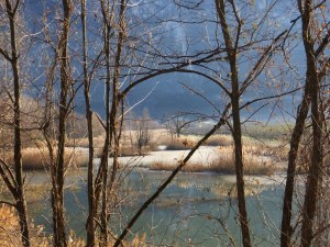 Il c.d. "Taio", zona umida e fredda nella campagna di Calliano